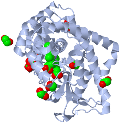 Image Biological Unit 1