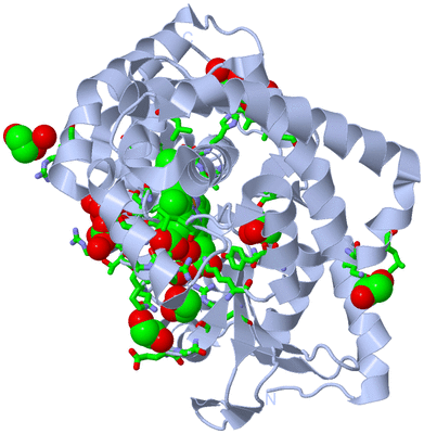 Image Biol. Unit 1 - sites