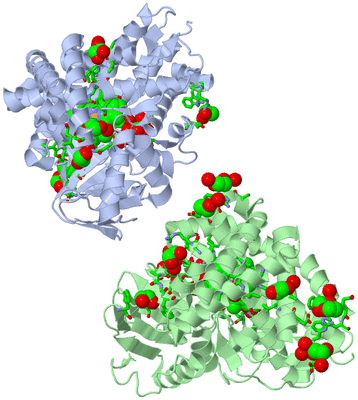 Image Asym. Unit - sites