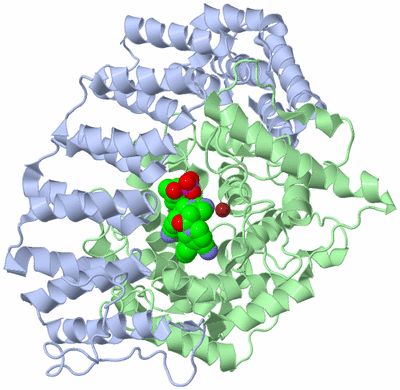 Image Asym./Biol. Unit