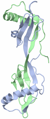 Image NMR Structure - all models