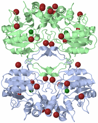 Image Biological Unit 1