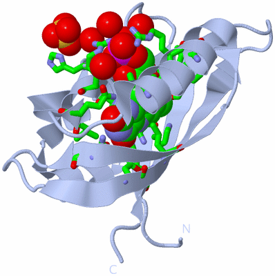 Image Biol. Unit 1 - sites