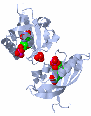 Image Biological Unit 2