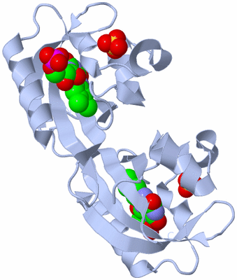 Image Biological Unit 3