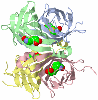 Image Asym./Biol. Unit