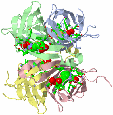 Image Asym./Biol. Unit - sites