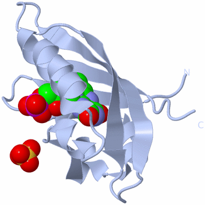 Image Biological Unit 1