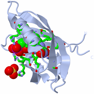 Image Biol. Unit 1 - sites