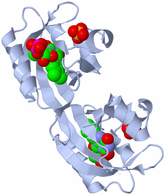 Image Biological Unit 3