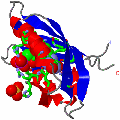 Image Asym. Unit - sites