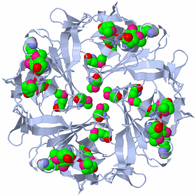 Image Biological Unit 1