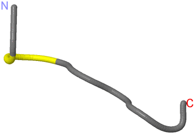 Image NMR Structure - model 1