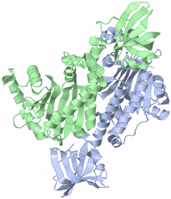 Image Asym./Biol. Unit