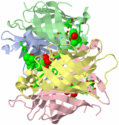 Image Asym./Biol. Unit - sites