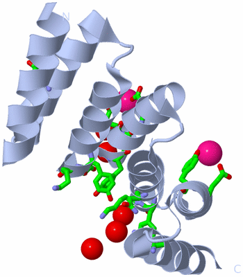 Image Biol. Unit 1 - sites