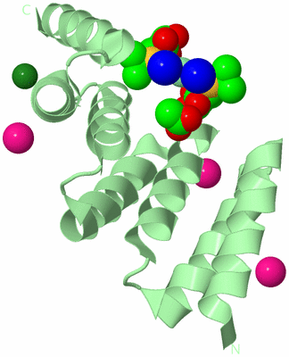 Image Biological Unit 2