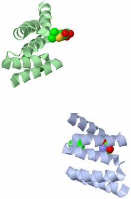 Image Asymmetric Unit