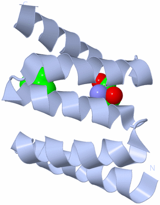 Image Biological Unit 1