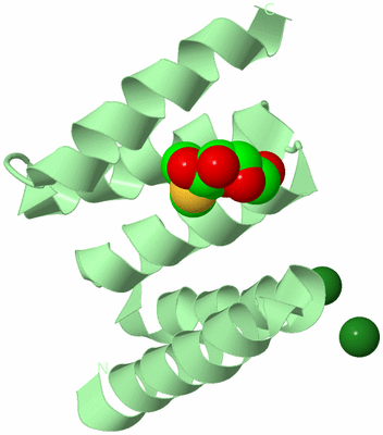 Image Biological Unit 2