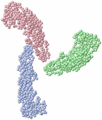 Image Asymmetric Unit