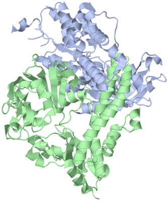 Image Asym./Biol. Unit