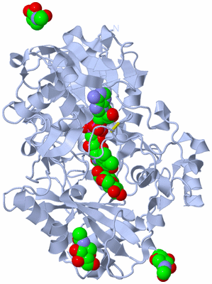 Image Biological Unit 1