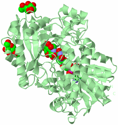 Image Biological Unit 2