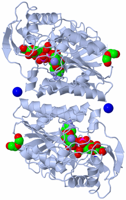 Image Biological Unit 1