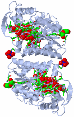 Image Biol. Unit 1 - sites