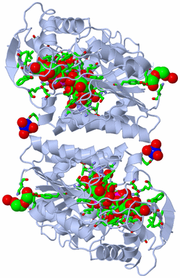 Image Biol. Unit 1 - sites