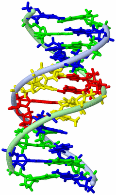 Image NMR Structure - model 1