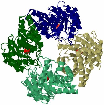 Image Asym./Biol. Unit