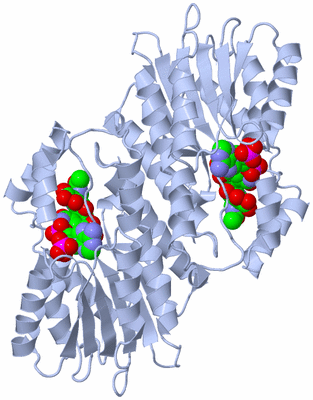 Image Biological Unit 1