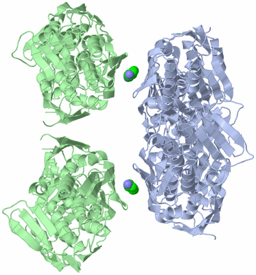 Image Biological Unit 1