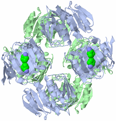 Image Biological Unit 2