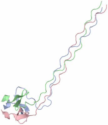 Image Asymmetric Unit