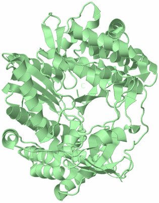 Image Biological Unit 2