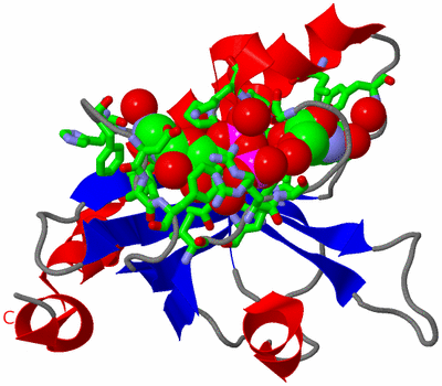 Image Asym./Biol. Unit - sites