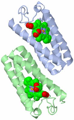 Image Asymmetric Unit