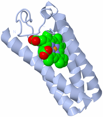 Image Biological Unit 1