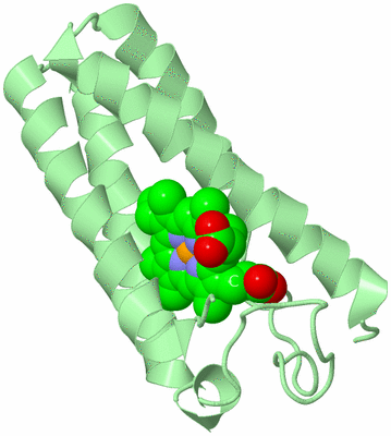 Image Biological Unit 2