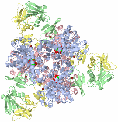 Image Biological Unit 1