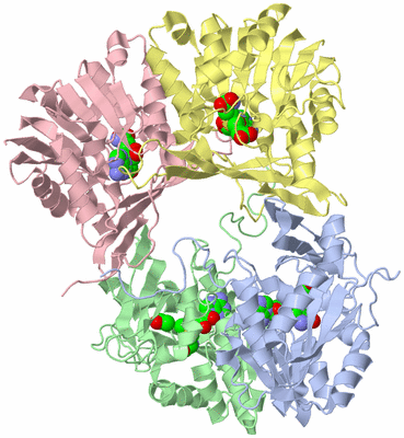 Image Asym./Biol. Unit