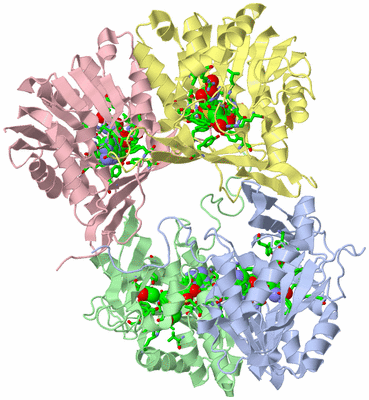 Image Asym./Biol. Unit - sites