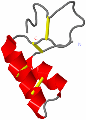 Image NMR Structure - model 1