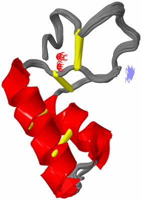 Image NMR Structure - all models
