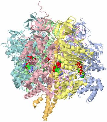 Image Asym./Biol. Unit