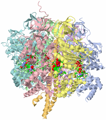 Image Asym./Biol. Unit - sites