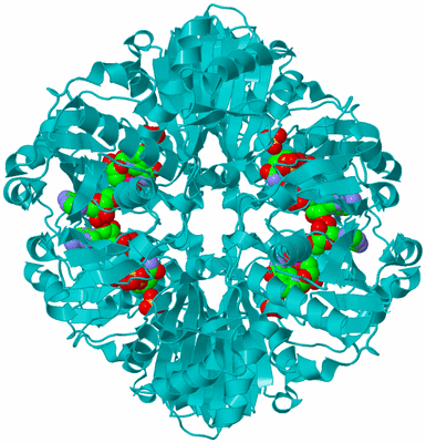 Image Biological Unit 1